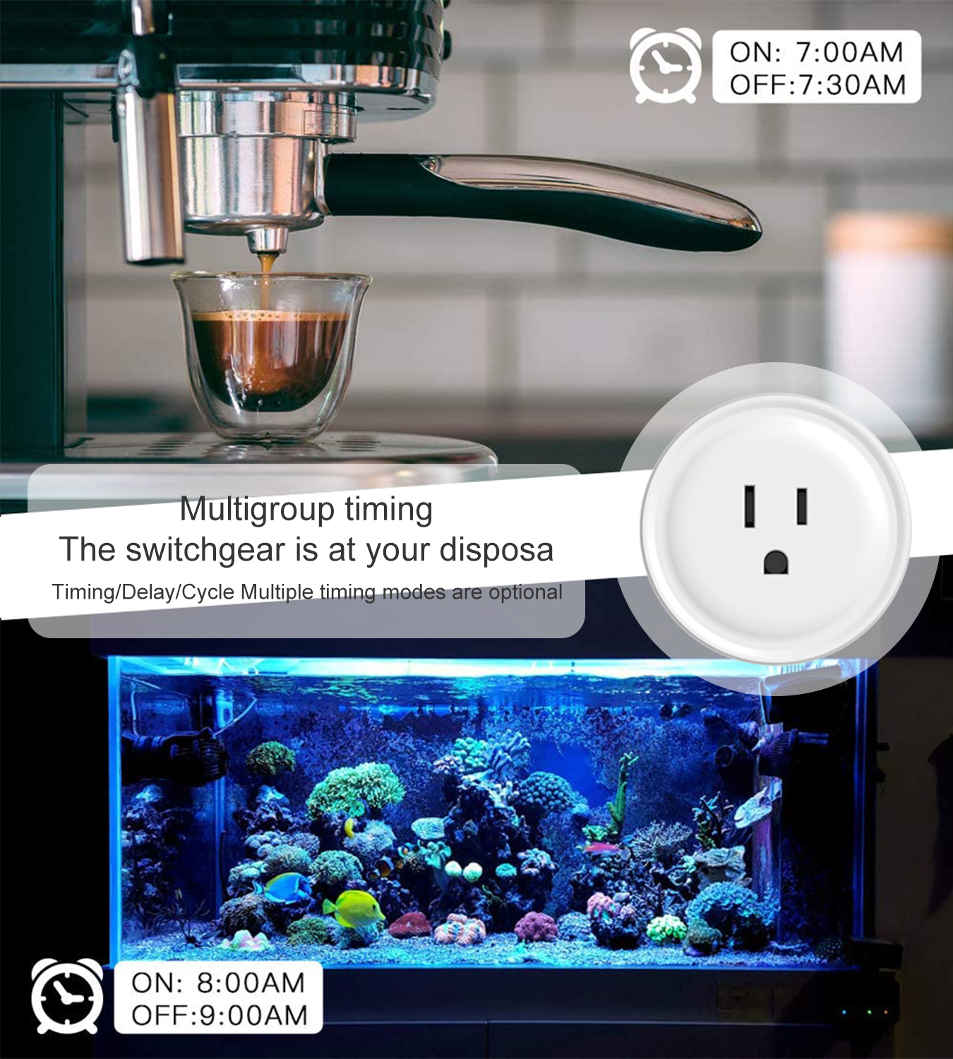 Tuya WiFi US Round 10A Smart P - đánh giá và giá Smart Accessories