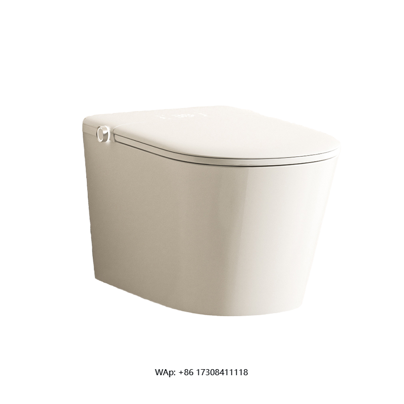Automatic Wall Hung Smart Bide - đánh giá và giá Smart Accessories