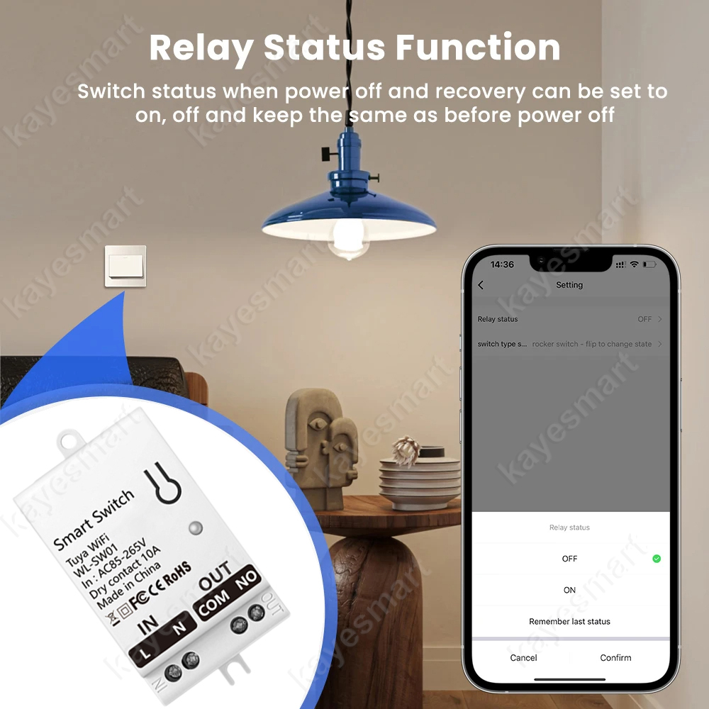 Tuya WiFi Smart Switch Module  - đánh giá và giá Smart Accessories